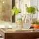 image 2 of Robinsons Fruit & Barley with Vitamins Apple & Pear Squash 1L