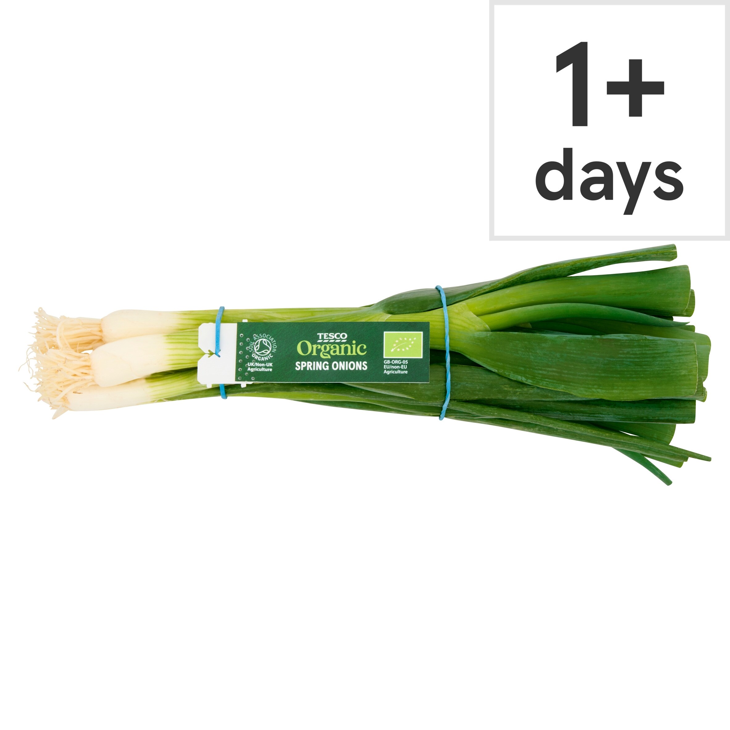 Tesco Organic Spring Onions 100G