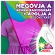Ariel Folyékony Mosószer, 40 Mosáshoz, + Extra szín- és szövetrostvédelem  3. kép