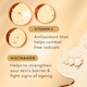 image 3 of Olay Total Effects 7 in One Brightening Youth Essence 50ml