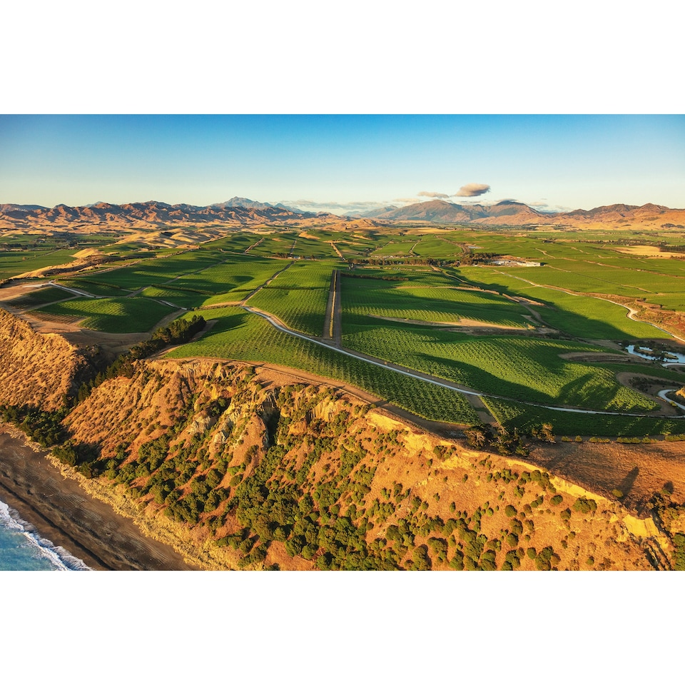 image 1 of Yealands Reserve Sauvignon Blanc 75cl