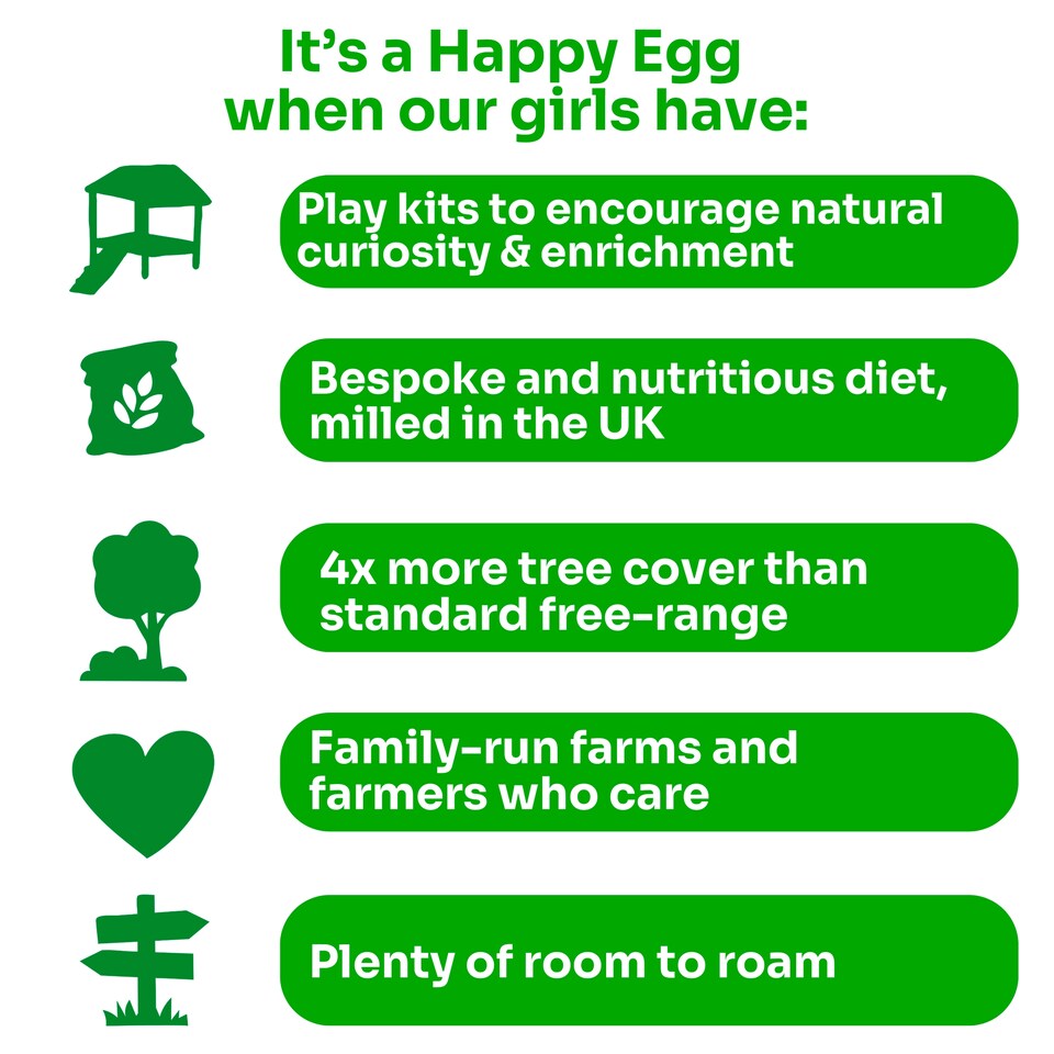 image 1 of The Happy Egg Co. Medium Free Range Eggs 10 Pack