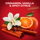image 3 of Old Spice Deo Stick Original 50Ml