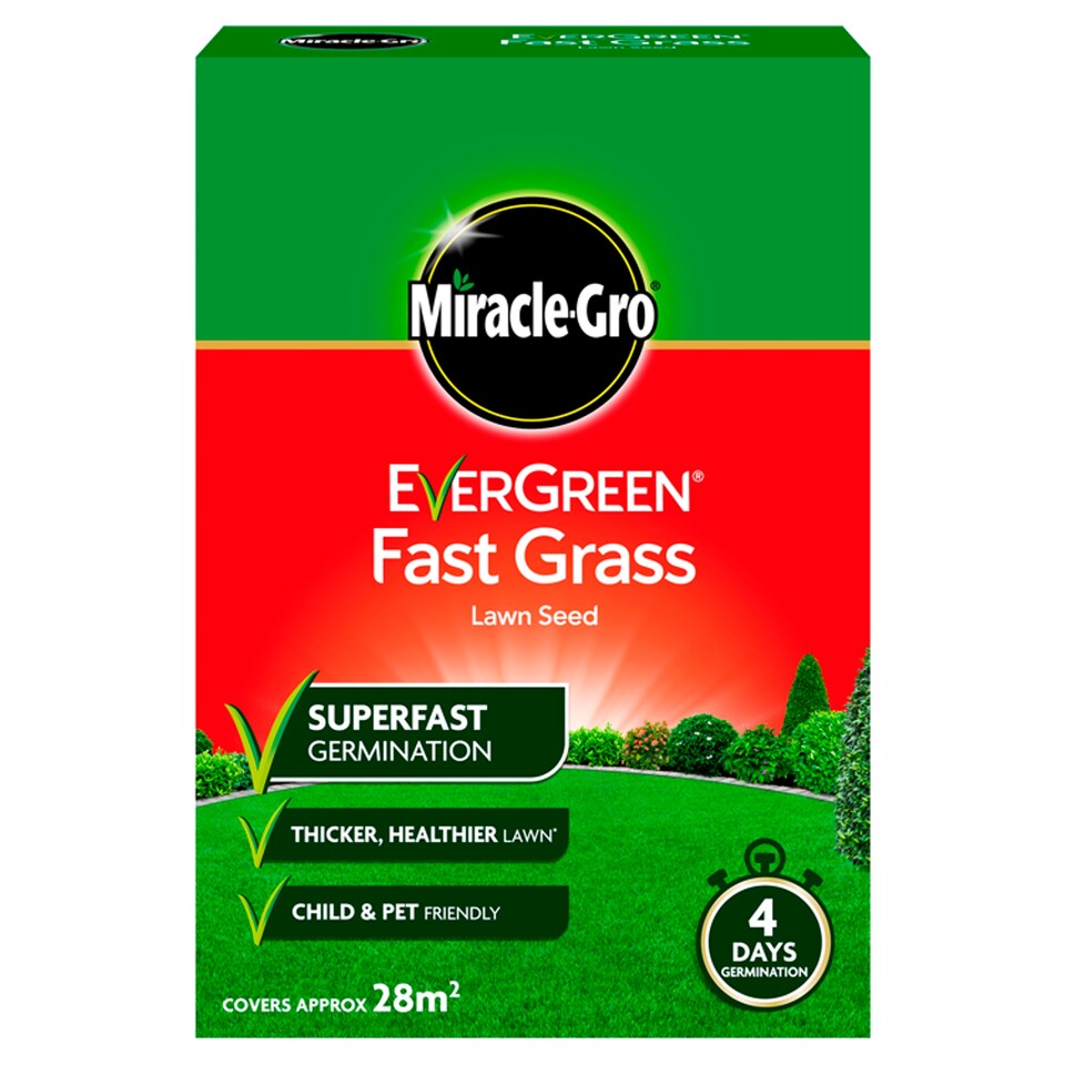 Evergreen Fast Acting Lawn Seed 840G