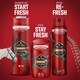 image 4 of Old Spice Bearglove Tuhý Dezodorant Pre Mužov 65ml