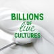 image 3 of The Coconut Collaborative Plain Cultured Coconut Yogurt 350G