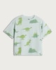 image 4 of F&F Boys Pure Cotton Dinosaur Print Short Sleeved T-Shirt in Mint