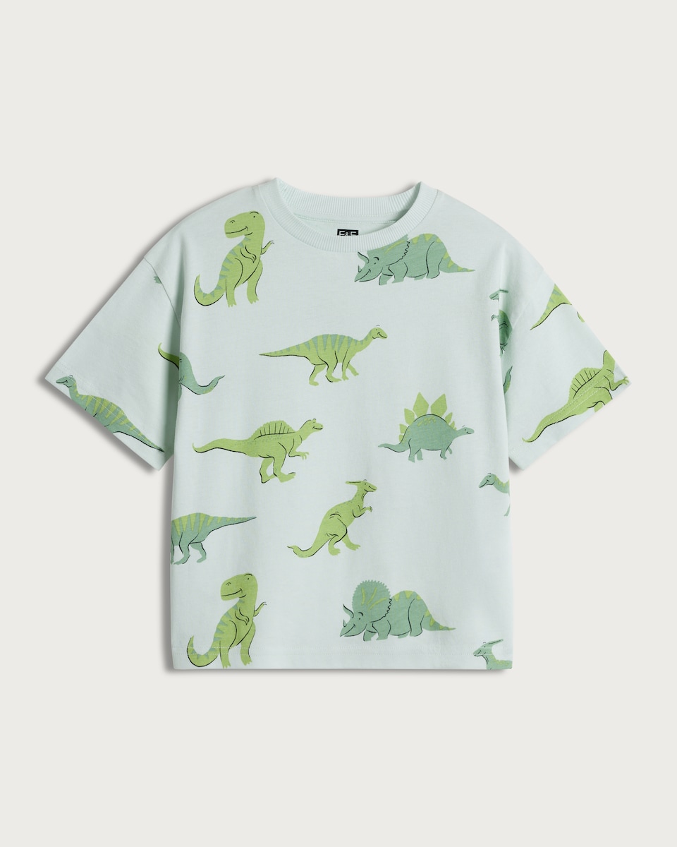 image 1 of F&F Boys Pure Cotton Dinosaur Print Short Sleeved T-Shirt in Mint
