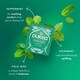 image 3 of Pukka Organic Three Mint Tea With Peppermint for Digestion 40 Herbal Tea Bags 64g