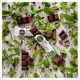 image 2 of Dr Coy's N/Ional Chocolate Bar Mint 35G