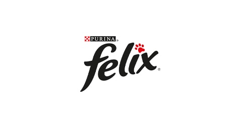 Felix Text To Win
