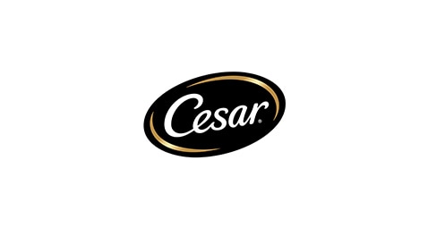 Cesar Text to Win