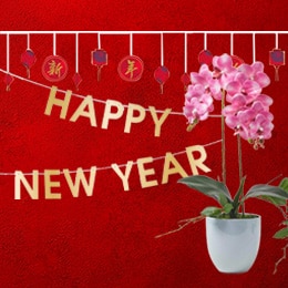 Party essentials and decorations