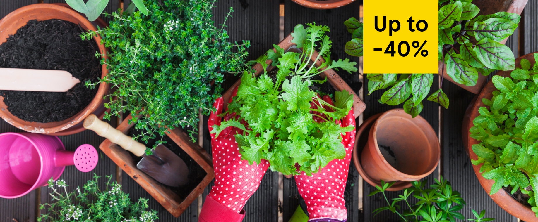 Get your garden in shape!