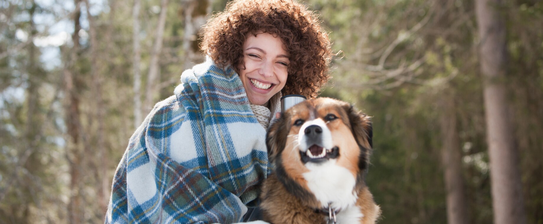 Állati ajánlatok óriási kedvezménnyel