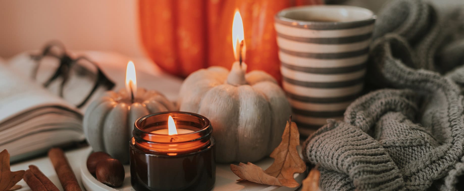 Enter a magical autumn with us