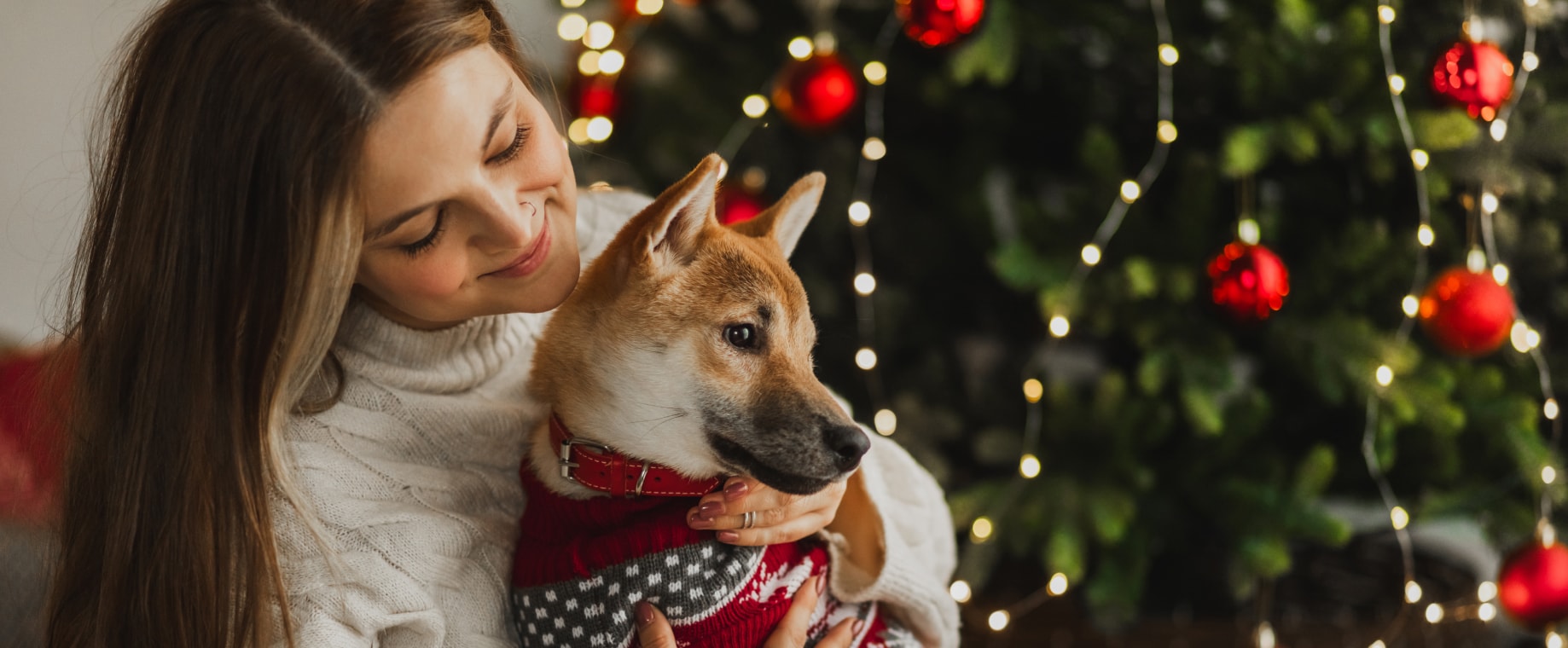 Amazing pet offers with huge discount