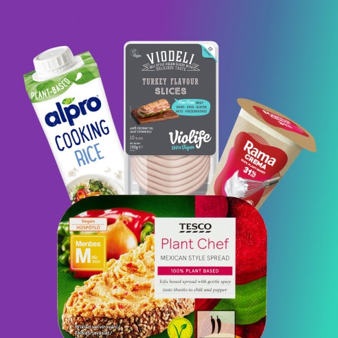 Vegetariánské a veganské