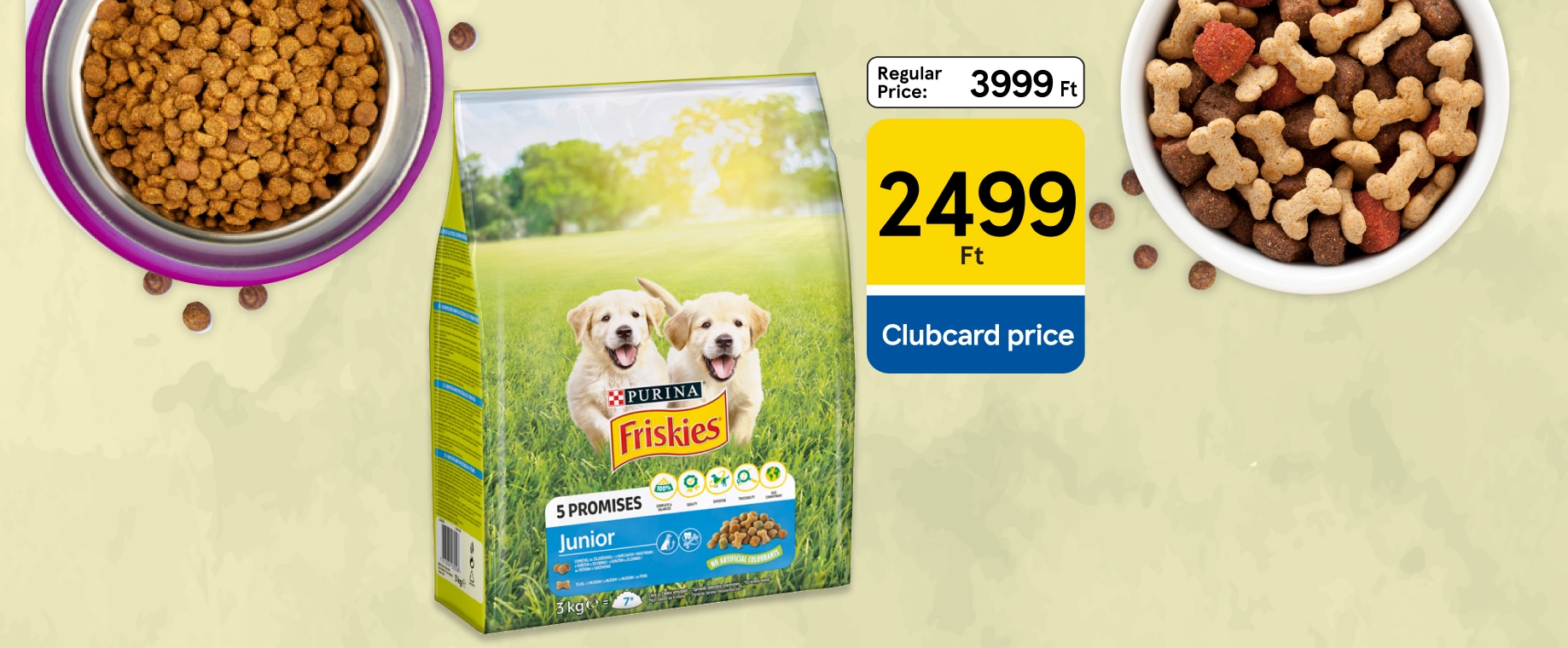 Amazing pet offers up to 37% discount