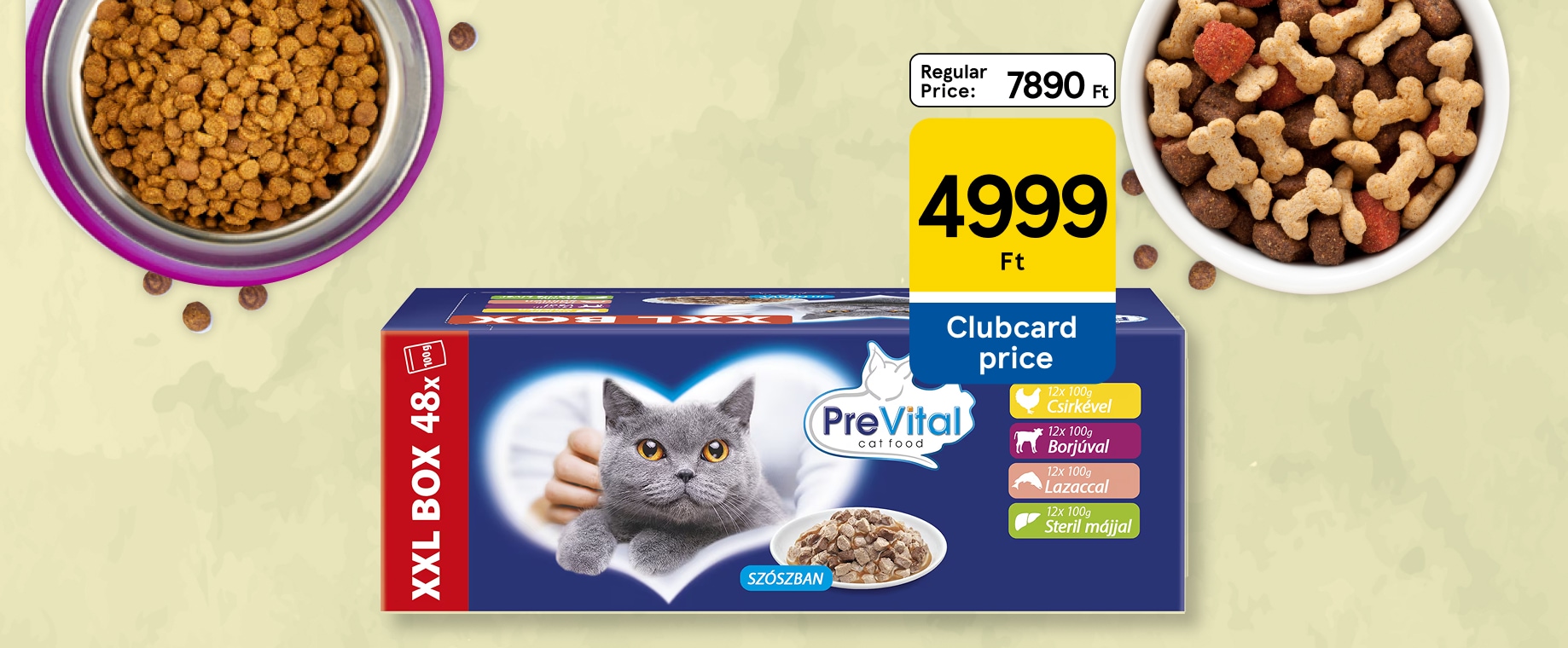 Amazing pet offers with huge discount