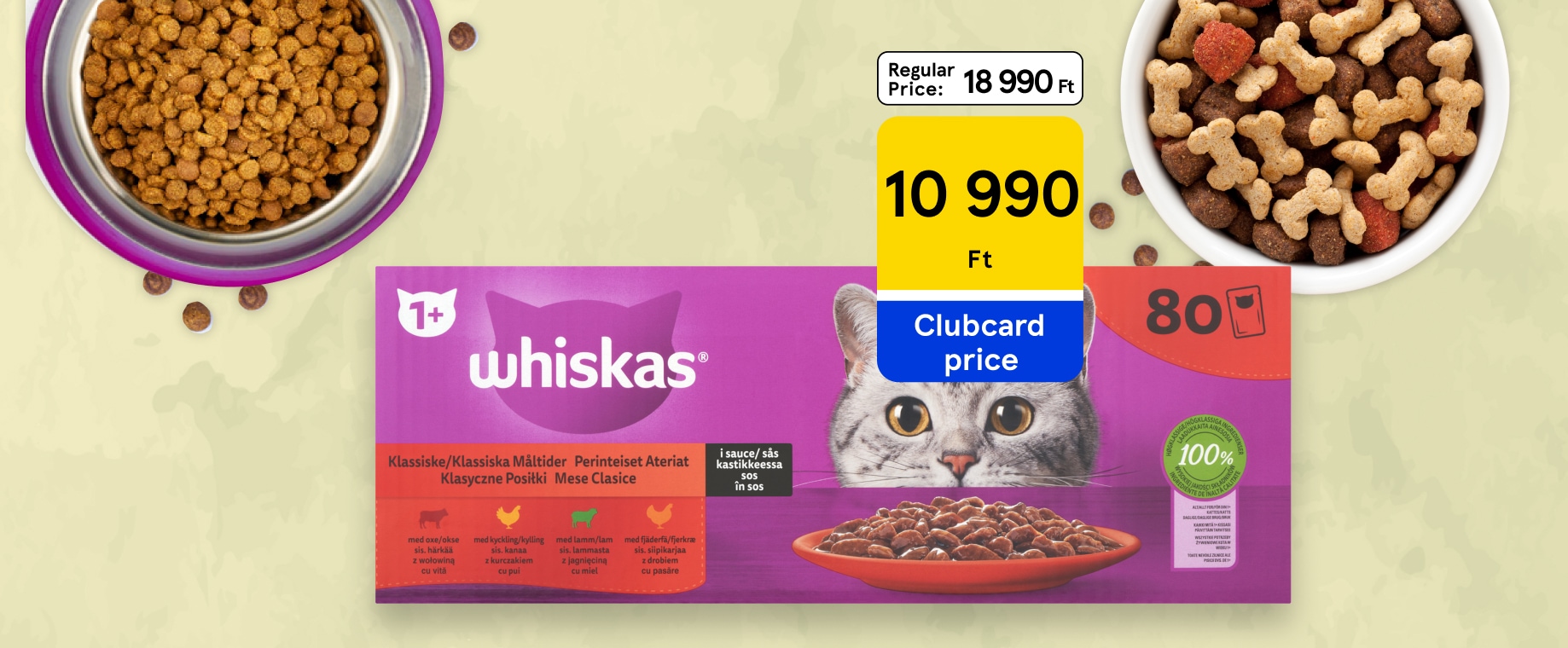 Amazing pet offers with huge discount