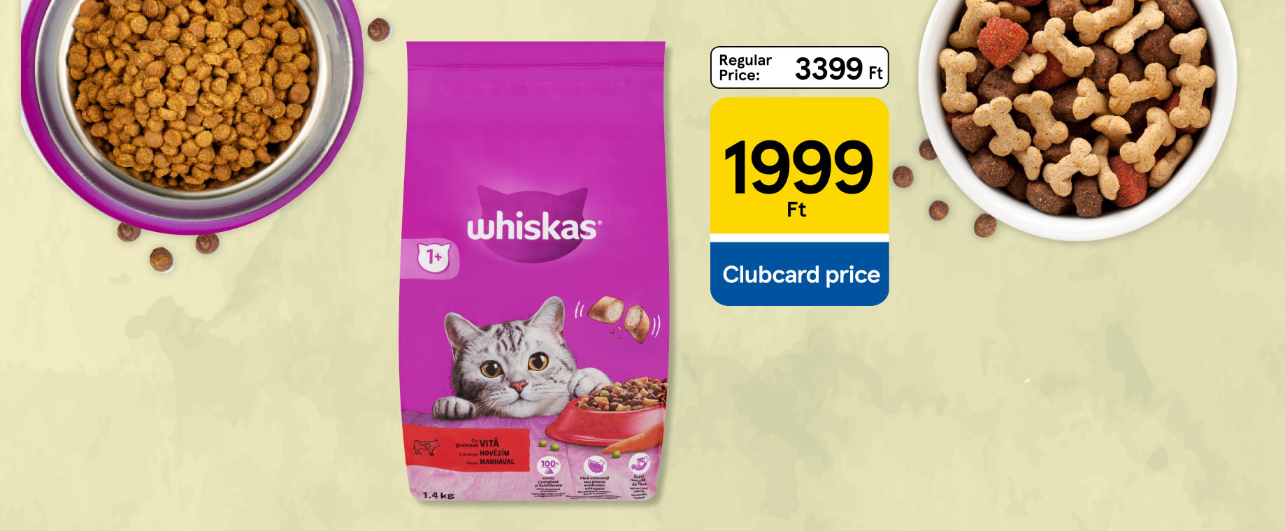 Amazing pet offers up to 41% discount