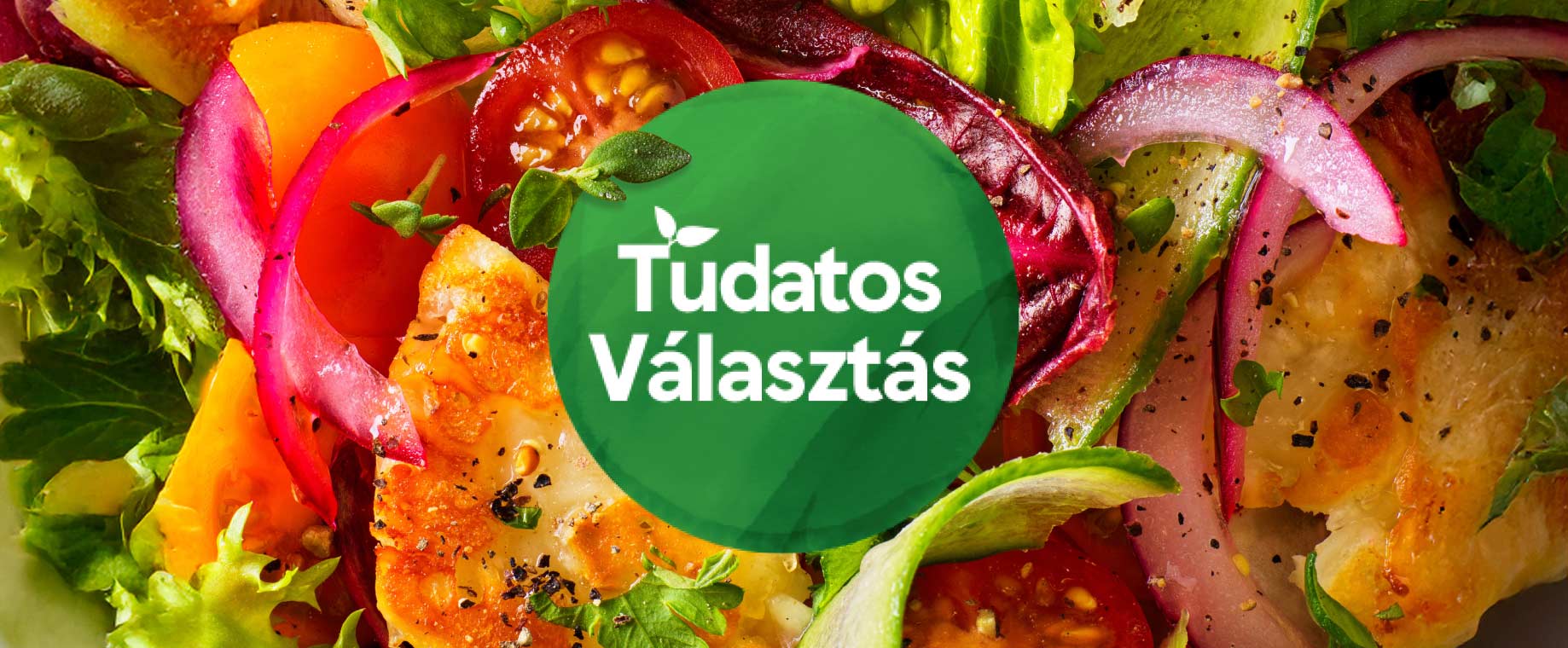 Egy egészségesebb életmód támogatása