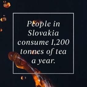 People in Slovakia ...