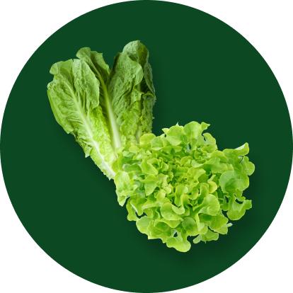 Bio fruit and vegetables