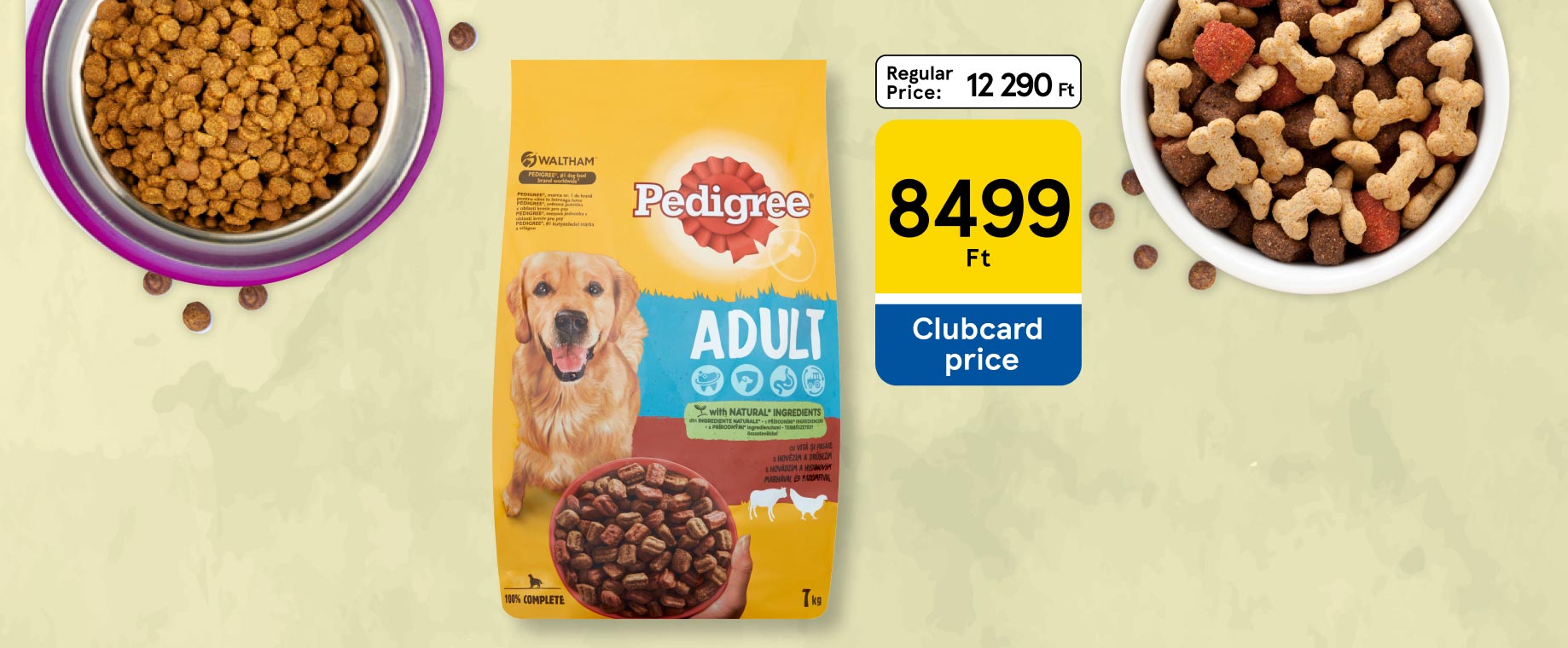 Amazing pet offers with huge discount