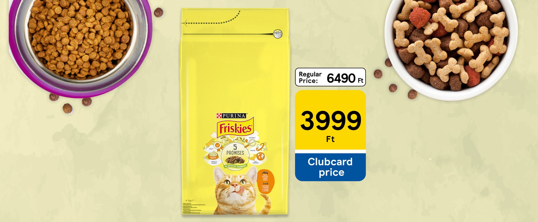 Amazing pet offers with huge discount