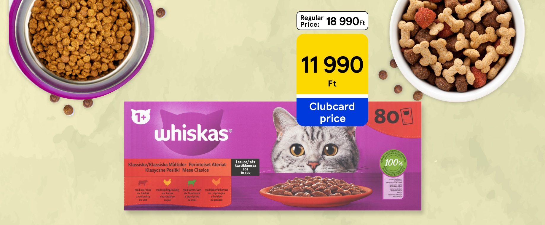 Amazing pet offers with huge discount