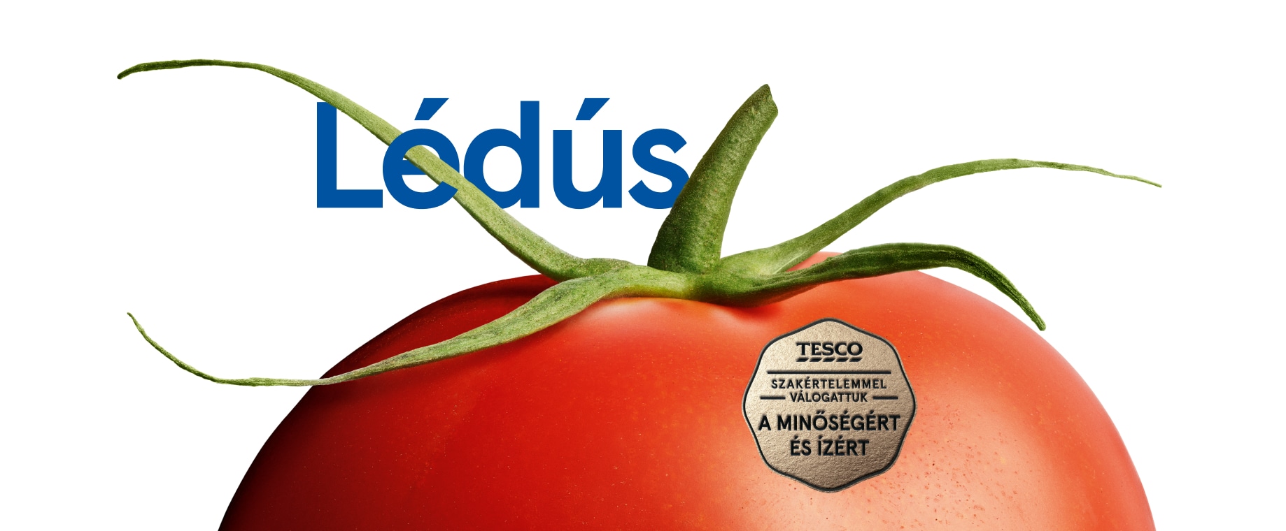 Kiváló alapanyagok