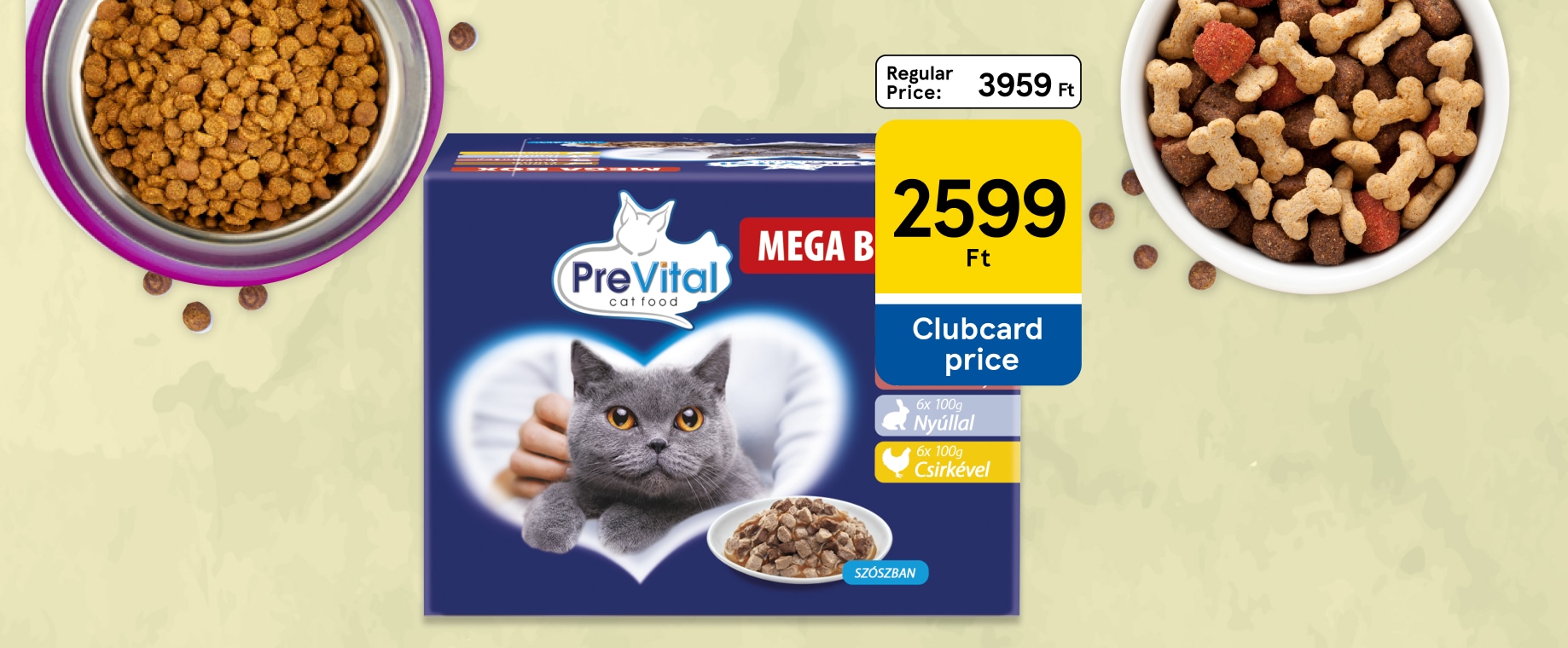 Amazing pet offers with huge discount