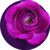 image for Mother's Day