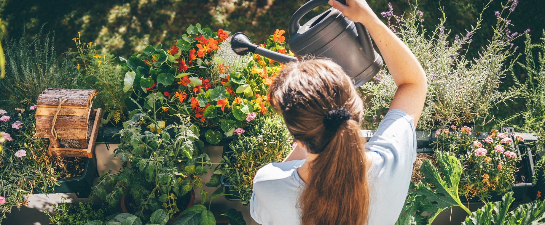 Hozd rendbe a kerted!