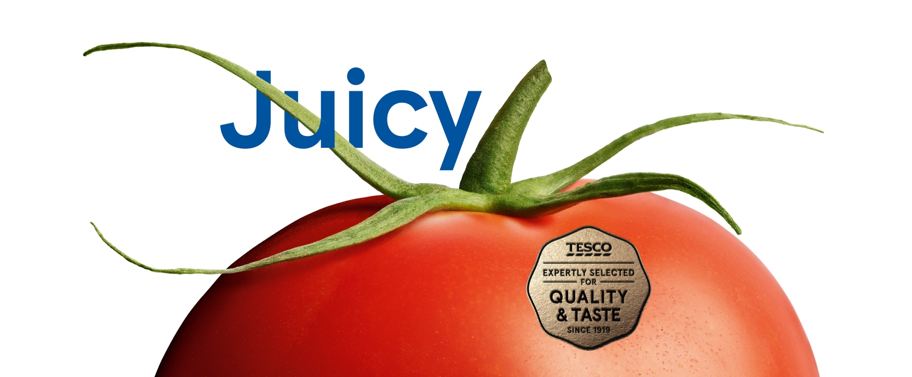 Excellent ingredients