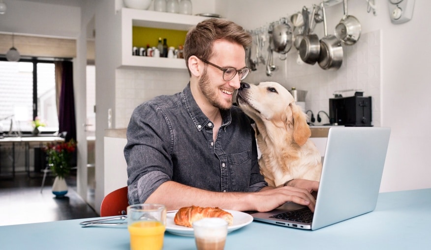 Háziállatod kedvencei pont úgy, ahogy ő szereti