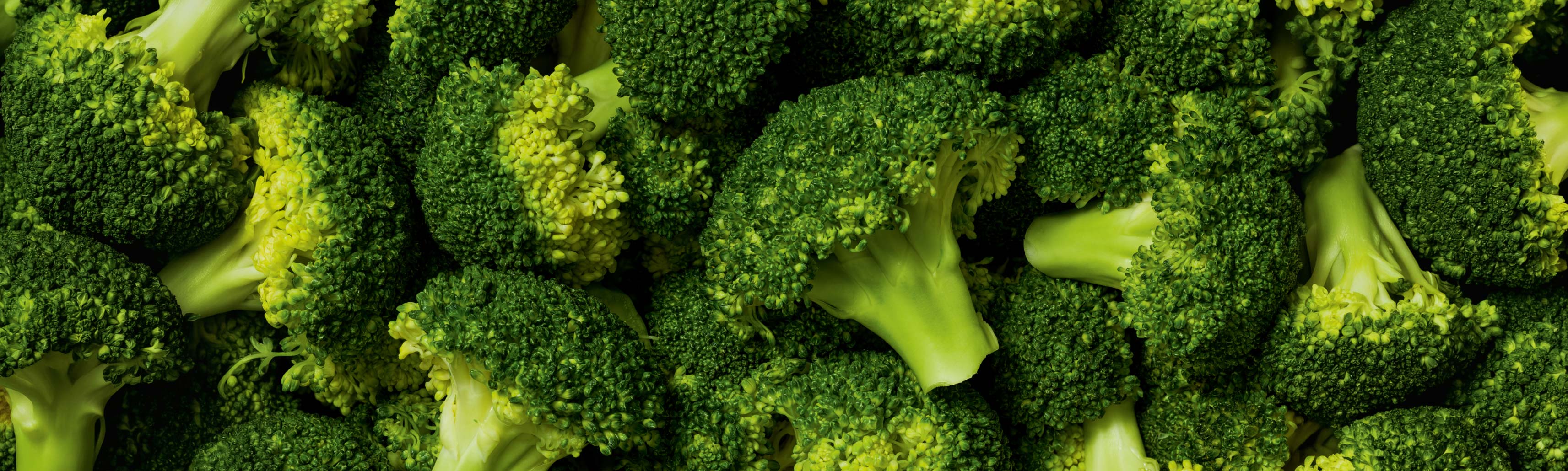 BROCCOLI