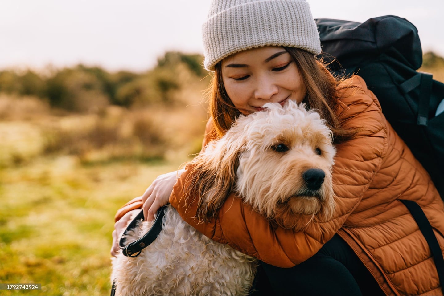 The best for your pets