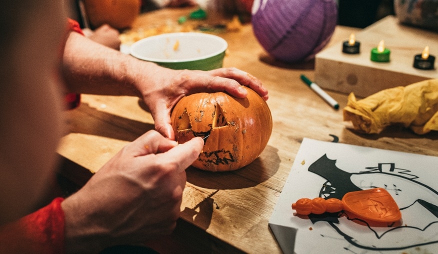 Hunting for a perfect pumpkin can start!