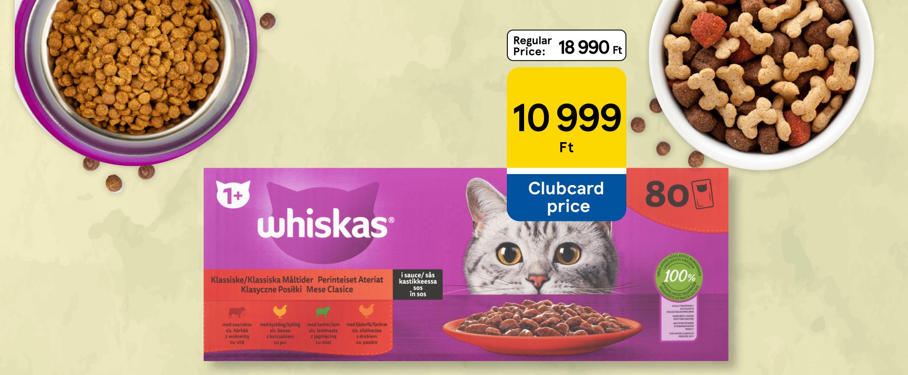 Amazing pet offers with huge discount