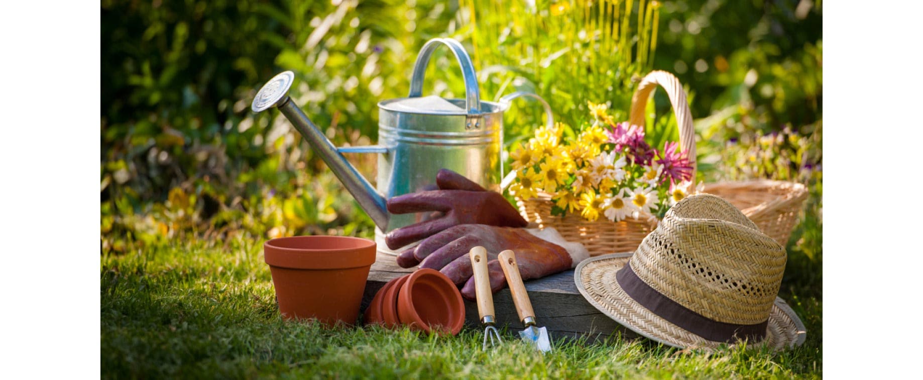 Relax in the garden