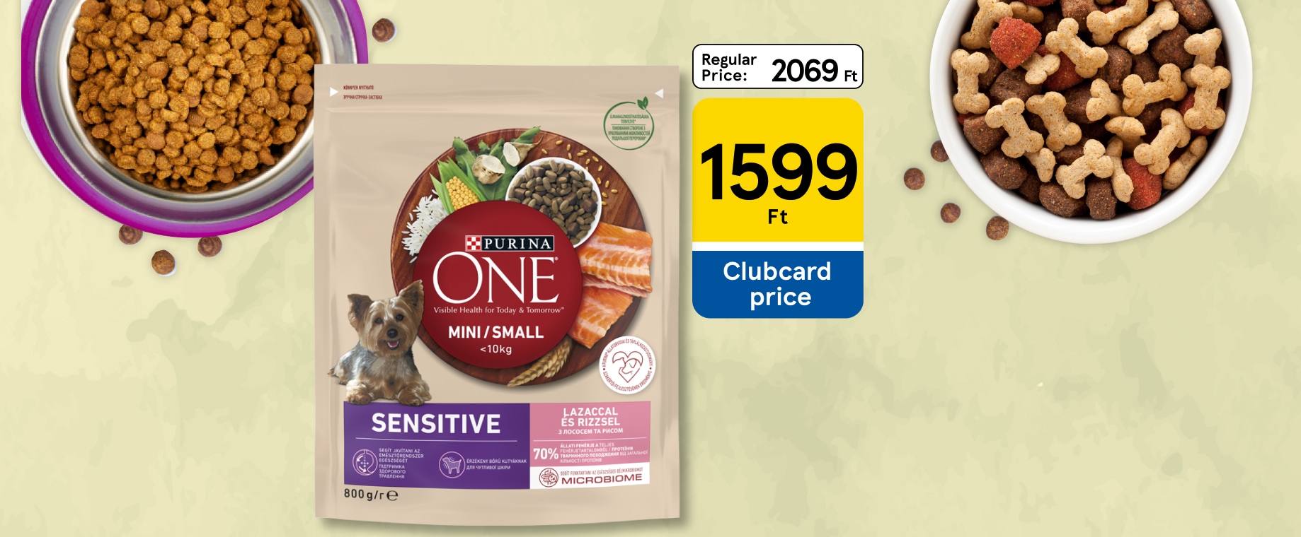 Amazing pet offers with huge discount