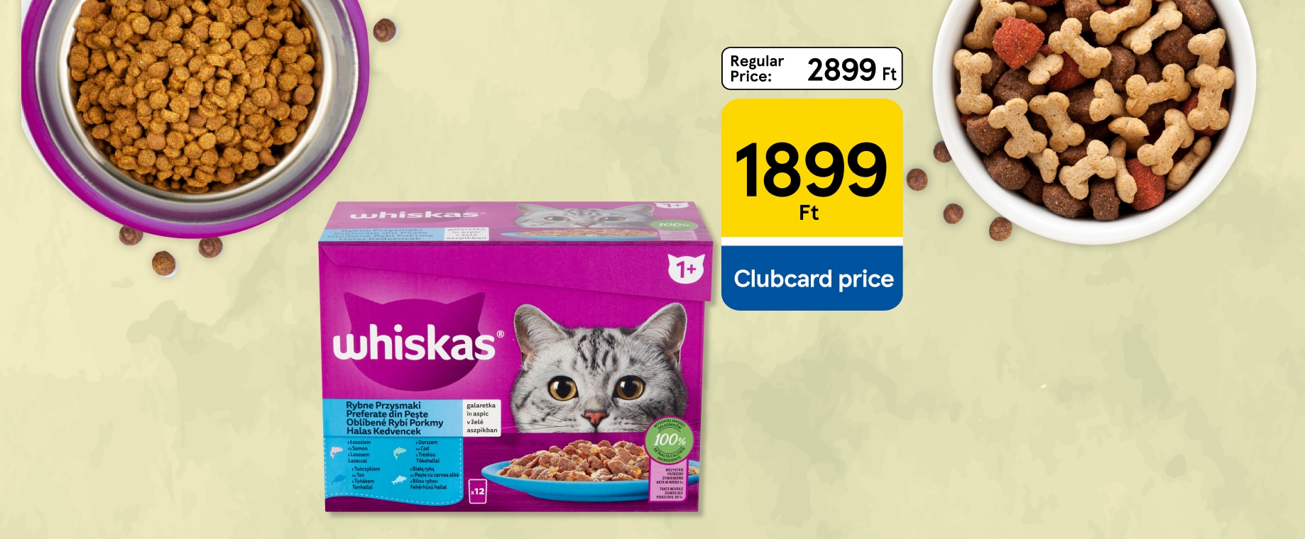 Amazing pet offers up to 41% discount
