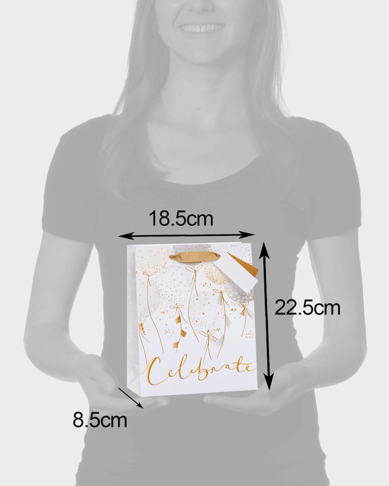 image 1 of Multipack of 3 Medium Gift Bags