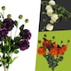 image 4 of Pegdev Pack of 6 Orange Dahlia PomPom Stems 75cm Silk Flowers