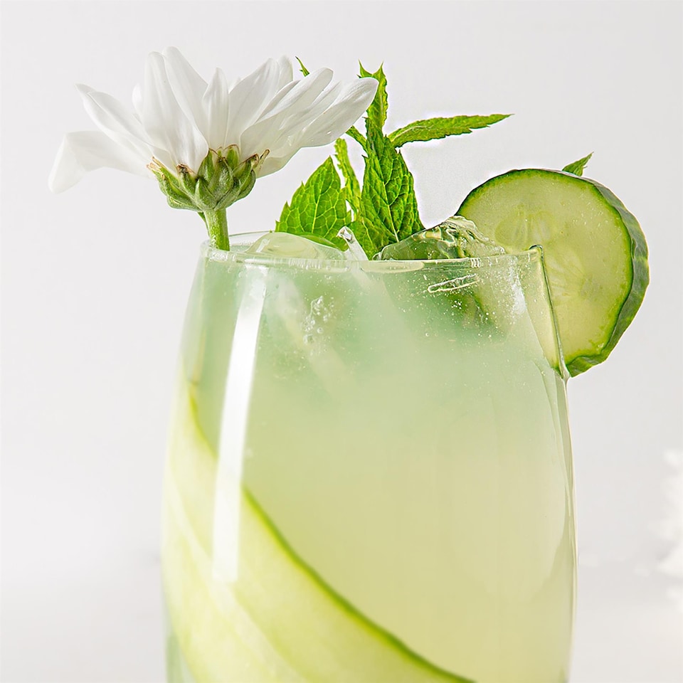 image 1 of Argon Tableware Tondo Highball Glasses - 510ml - Pack of 12 | Clear | Clear