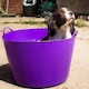 image 4 of Red Gorilla - Gorilla Tub 75L - Flexible Multi-Use Bucket | Blue