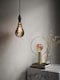 image 4 of Nordlux E27 G125 Edison Screw  Retro 1800k 120lm, IP20